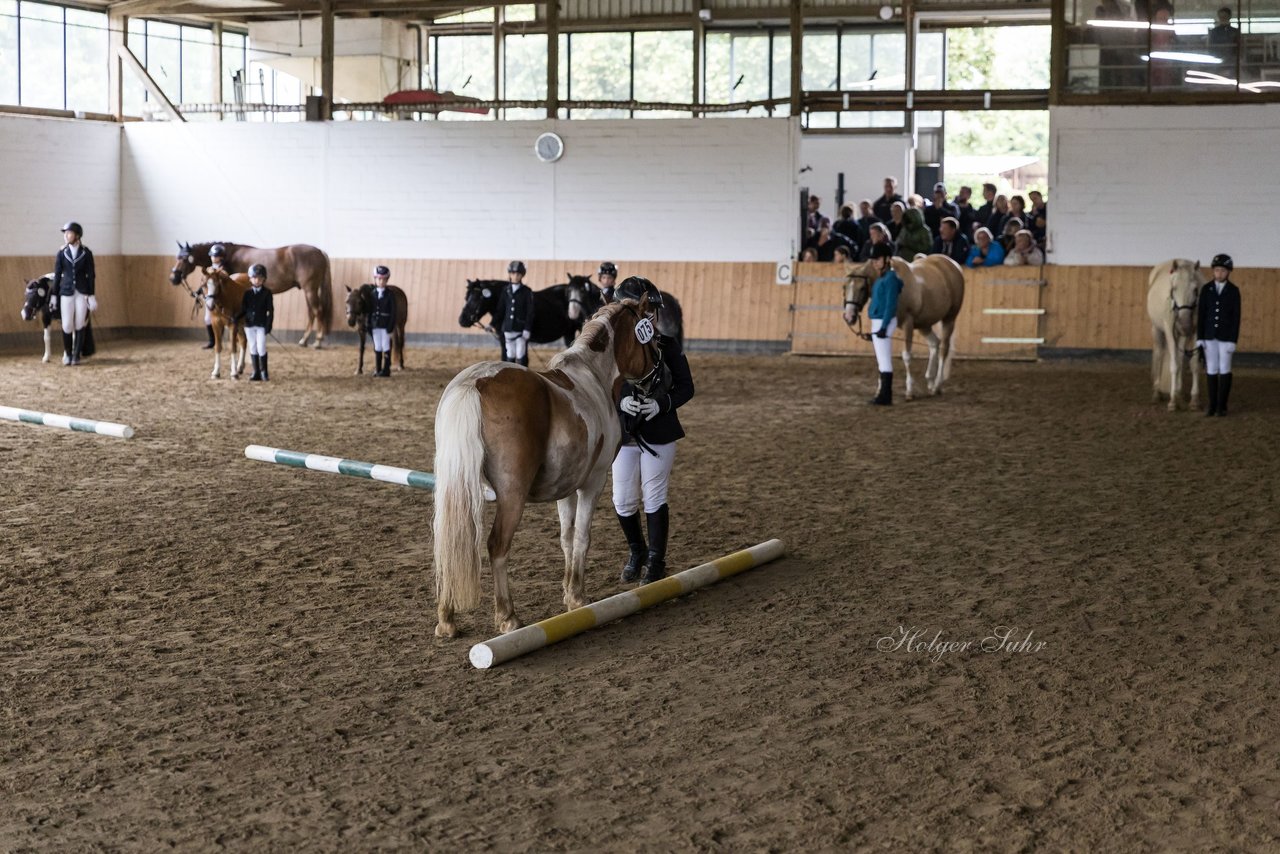 Bild 82 - Pony Akademie Turnier